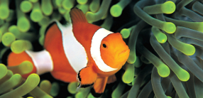 Port environmental management systems